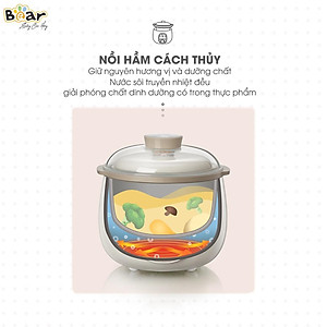 Nồi chưng yến điện Bear, Nồi nấu chậm 0.8L Bear Chính hãng, nấu cháo bản Quốc tế - Hàng chính hãng