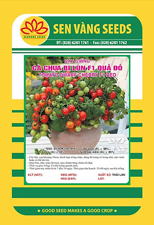 Hạt giống cà chua Bi Lùn Đỏ F1 VTS135