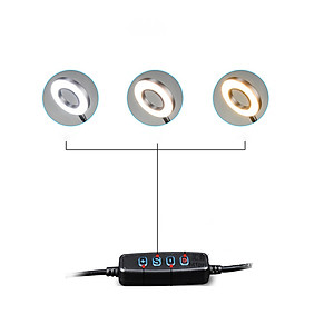 Transhine P35 - Chân Đế Đặt Bàn Có Đèn Led Live Stream Cho Điện Thoại - Hàng chính hãng