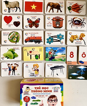 Bộ thẻ học thông minh 450 thẻ với 20 chủ đề về thế giới xung quanh cho bé (Flashcard)
