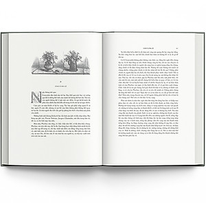 Sách Nhà thờ Đức Bà Paris (Bìa Cứng)