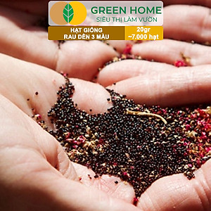 Hạt Giống Rau Dền 3 Màu Greenhome, Gói 20g~7000 hạt, Dễ Trồng Quanh Năm, Nảy Mầm Cao, Thu Hoạch Nhanh, Năng Suất Cao R15