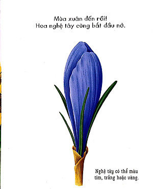 Sách Những Khám Phá Đầu Tiên Của Tớ: Hoa