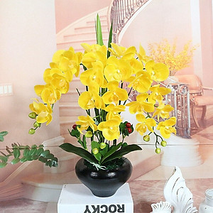 Cành lan hồ điệp giả cao cấp - 1 cành - 9 bông - dài 100cm - Cây giả, hoa lụa Decor trang trí nhà cửa