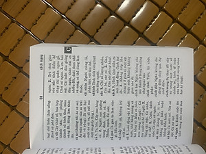 Sách - Từ điển Tiếng Việt (40000 Từ)