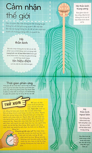 Sách Khoa Học Khắp Quanh Ta - Siêu Giác Quan