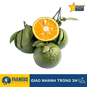 [Chỉ Giao HCM] -Cam sành loại 1 (1KG) - Múi thịt màu cam, có vị thơm đặc trưng, ngọt dịu.