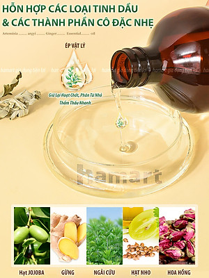 Dầu Massage Body 500ml Tinh Chất Gừng Ngải Cứu Spa Đông Y Cổ Vai Gáy Dưỡng Sinh Giảm Đau Xương Khớp