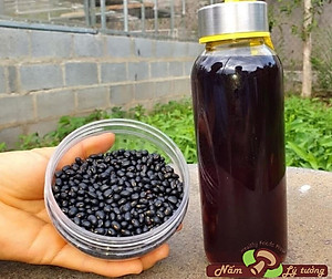 Hạt Đậu Đen Đỗ Đen Bắc Xanh Lòng Lý Tưởng 400g