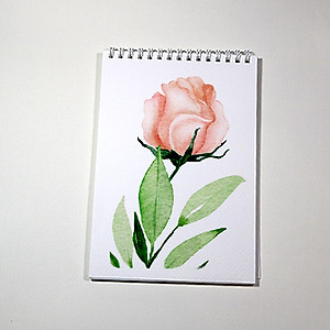 Sổ vẽ màu nước A4 giấy chuyên dụng có vân đẹp nhập từ Ý định lượng 300gsm, loang màu tốt lên màu trong tự nhiên,15 tờ/cuốn Green Art-Hàng chính hãng