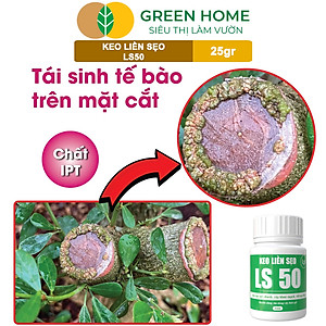 Keo Liền Sẹo LS50 Cho Cây Greenhome, Liền Nhanh Vết Cắt Da Cây, Chiết Cành,  Bonsai, Lan, Kiểng Lá