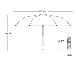Dù Đi Mưa Gấp Gọn Hình Gấu 2 Lớp Chống Thấm Tốt - Hàng chính hãng