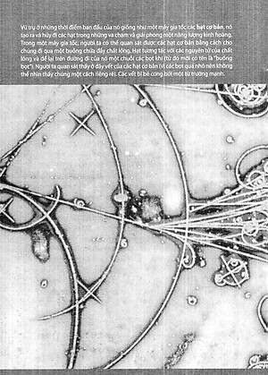 Sách Nguồn Gốc - Nỗi Hoài Niệm Về Những Thuở Ban Đầu
