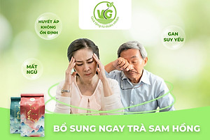Trà Sâm Hồng thượng hạng VG túi 500gram mát gan, giải độc - NPP Ehomepire