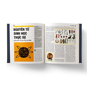 Sinh học - Khái lược những tư tưởng lớn