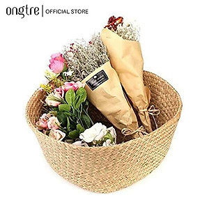 Giỏ cói trồng cây ONGTRE /đựng quần áo/decor tự nhiên có quai/giỏ cói đựng đồ nhiều kích thước