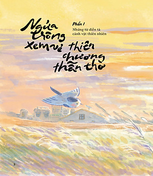 Cổ Mỹ Từ - Bìa Cứng