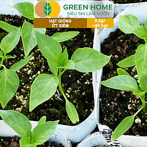 Hạt Giống Ớt Xiêm Greenhome, Gói 0,2gr, Dễ Trồng, Sai Trái, Siêu Cay G09