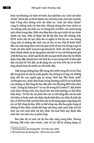 Sách Thế Giới Một Thoáng Này