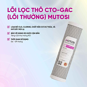 Lõi lọc nước Mutosi Số 2/3 - Tích hợp PP1 và CTO
