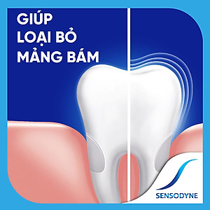 [Bộ 2] Kem Đánh Răng Sensodyne Cool Gel 160g/tuýp