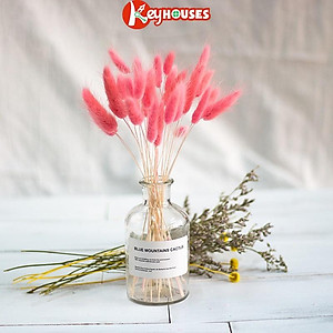 Cỏ Đuôi Thỏ Cỏ Khô Decor Trang Trí Để Bàn - 10 Bông