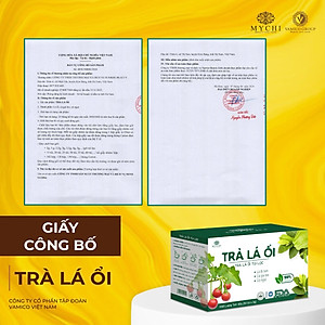 Giá Sỉ 10 Hộp Trà Lá Ổi Mychi Giam Cân Tan Mỡ Ngừa mỡ máu tiểu đường