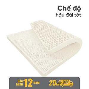 Nệm Cao Su Thiên Nhiên Vạn Thành SEGOVIA