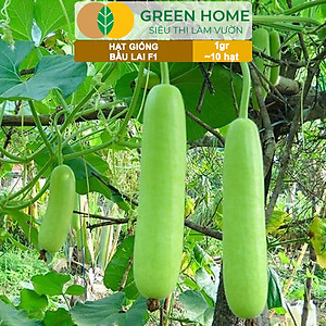 Hạt Giống Bầu Lai Greenhome, Gói 1gr~10 hạt, Dễ Trồng Quanh Năm, Nảy Mầm Cao, Thu Hoạch Nhanh, Năng Suất Cao T09