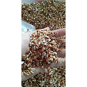 NGŨ CỐC ĐẶC BIỆT DÀNH CHO CU GÁY (HẠT HỖN HỢP)