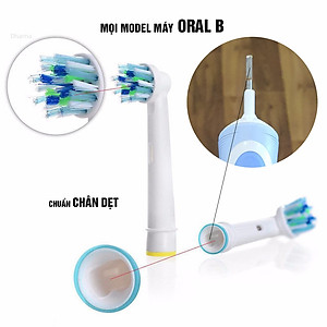 Cho máy Oral B Braun Cross Action EB50A, Bộ 4 đầu bàn chải đánh răng điện đánh tan mảng bám Minh House