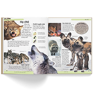 Sách Bách Khoa Cho Trẻ Em - Bách Khoa Động Vật (Tái Bản)