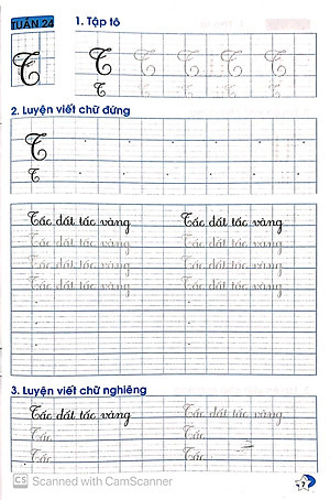 Sách Luyện Viết Đúng, Viết Đẹp 3 - Tập 2