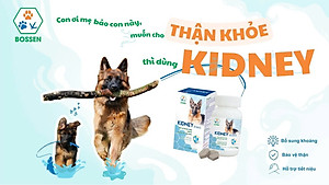 BOSSEN - KIDNEY Shield (dogs) Hỗ Trợ Chức Năng Thận cho Chó - Hộp 12 viên