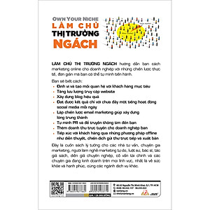 Sách Làm Chủ Thị Trường Ngách - Tái Bản