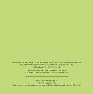 Những Cánh Chim Hoang Dã - 45 Loài Chim Đẹp Việt Nam