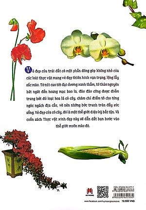 Sách Thực Vật Xinh Đẹp