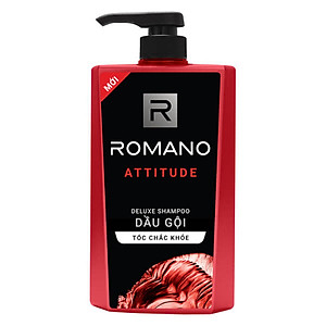 Dầu Gội Cao Cấp Cho Nam Romano Attitude (650g)
