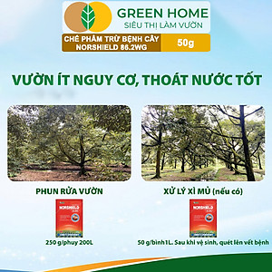 Chế Phẩm Trừ Bệnh NORSHIELD 86.2WG GreenHome, Gói 50gr, Gốc Đồng Đỏ, Bám Dính Tốt, Che Phủ Đều