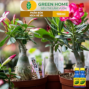 Phân Bón Kích Rễ, Greenhome, B1, Chai 100ml, Tạo Mầm, Rễ Khoẻ, Sai Hoa, Phục Hồi Rễ Yếu, Lá Dày