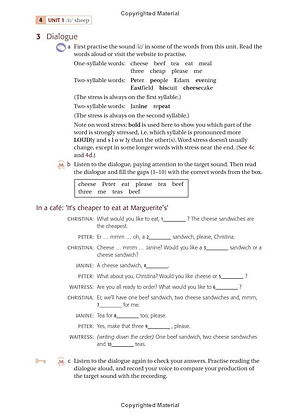 Sách Ship or Sheep? Book and Audio CD Pack: An Intermediate Pronunciation Course