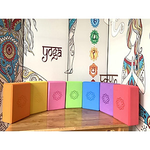 Block Gạch Loại 1 320gram Gạch Tập Yoga Nature Yoga 10cm