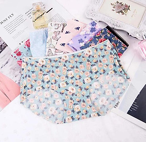 Set 5 Quần Lót Đúc Su Điều Hòa Thông Thoáng HM11