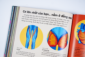 Sách Britannica's Encyclopedia Infographica - Bách khoa thư bằng đồ họa