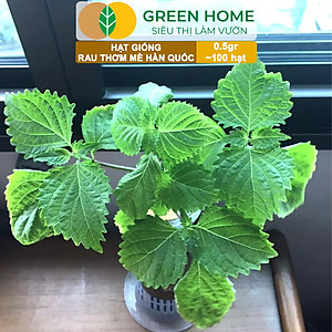 Hạt Giống Rau Thơm Mè Greenhome, Gói 0.5g, Dễ Trồng Quanh Năm, Nảy Mầm Cao, Thu Hoạch Nhanh, Năng Suất Cao R17