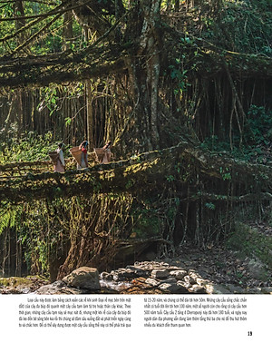 Bách Khoa Thư Về Thế Giới Thực Vật - Cây, Lá, Hoa Và Hạt