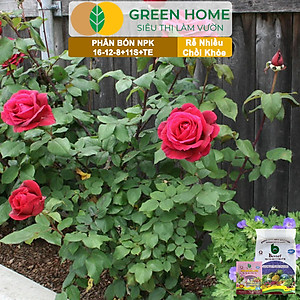 Phân bón NPK 16-12-8-11S+TE Greenhome, Better, Bao 1kg, Phát Triển Nhanh Thân, Cành, Lá, Bộ Rễ