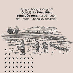 Gạo lứt đen hữu cơ cao cấp/ECOBA Huyền Mễ 1kg - Thơm ngon dẻo ngọt - Thanh lọc cơ thể