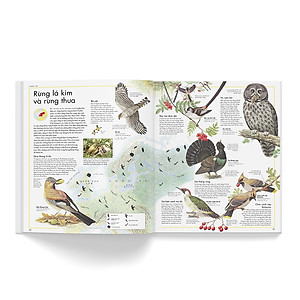 Sách Atlas các loài chim