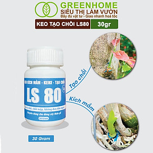 Keo Tạo Chồi LS80, Greenhome, Hũ 30gr, Tạo Mầm Tại Vị Trí Bất Kỳ, Có Chọn Lọc, Không Suy Cây, Đen Chồi